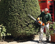 Toagliasipi OleoMac HC280XP al lavoro, ideale per tagliare siepi sagomante o tondi, ottimo taglio nel lauro.