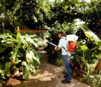 Atomizzatore robusto e duraturo per lavori prolungati anche in ambienti difficili. Facile da mettere in moto.